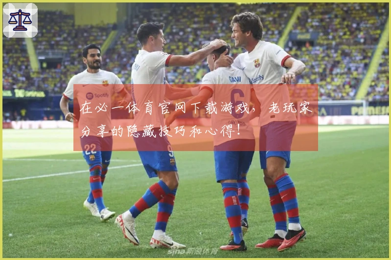 在必一体育官网下载游戏，老玩家分享的隐藏技巧和心得！